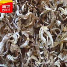frozen oyster mushroom-IQF oyster mushroom 10kg per bag